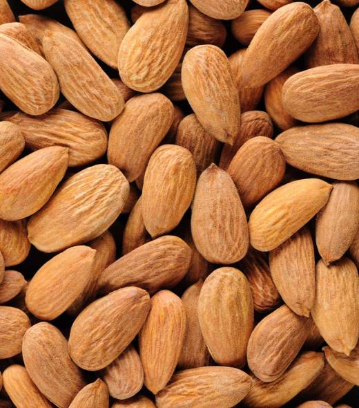 Almendras de calidad premium Jandjs